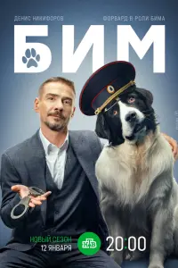 Денис Никифоров, Форвард,