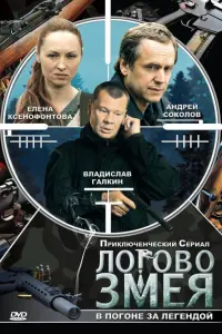 Андрей Соколов, Владислав