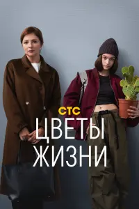 Анна Банщикова, Василиса